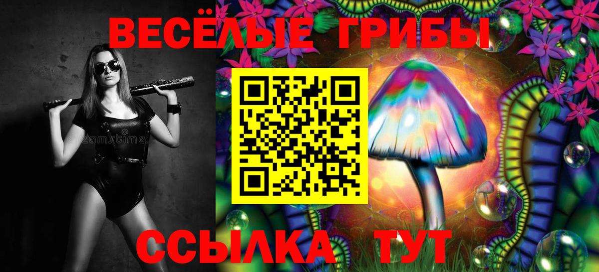 Псилоцибиновые грибы мухоморы  Псилоцибиновые грибы мицелий  Вход с VPN  даркнет сайт  Джанкой 